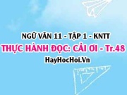 Soạn bài Thực hành đọc: Cải ơi trang 48 Ngữ văn lớp 11 Kết nối tri thức tập 1